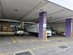 Loyang Industrial Estate (D17), Factory #505499021
